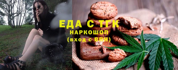 СК Медногорск