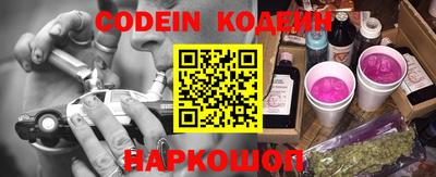 индика Гатчина