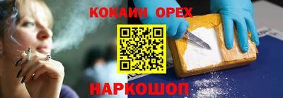 индика Гатчина