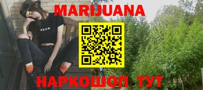 индика Гатчина