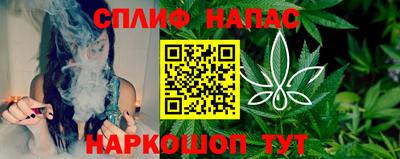 индика Гатчина