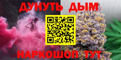 индика Гатчина