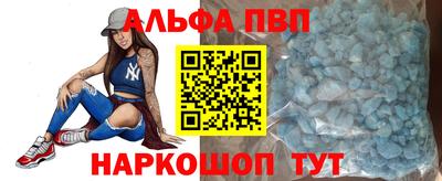 индика Гатчина