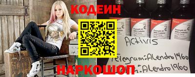 индика Гатчина